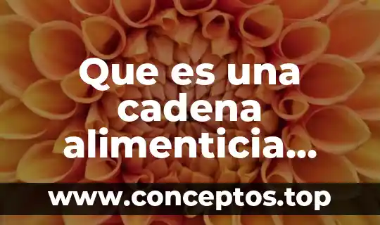 Que es la definicion del problema y el análisis 6 Que es una cadena alimenticia definición para niños