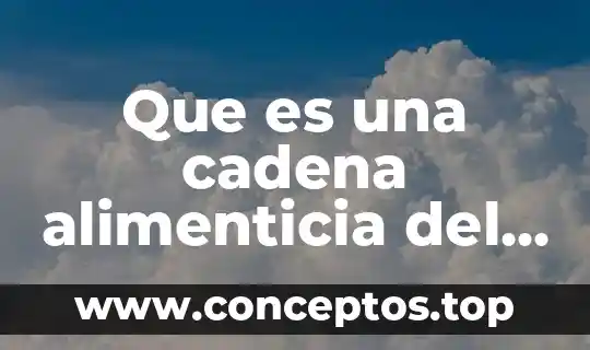 Que es una cadena alimenticia del agua