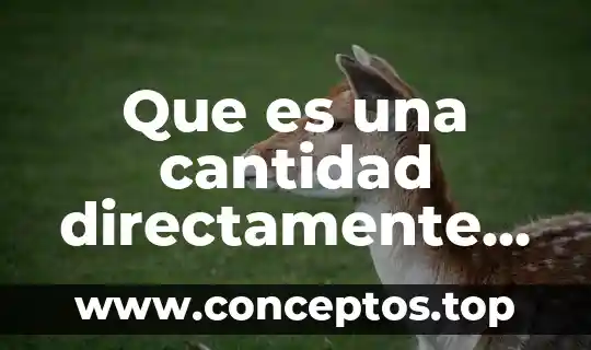 Qué es representación proporcional en México 8 Que es una cantidad directamente proporcional