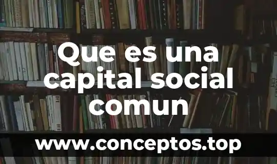 Que es una capital social comun