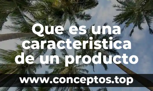 Que es una característica de una persona 3 Que es una caracteristica de un producto