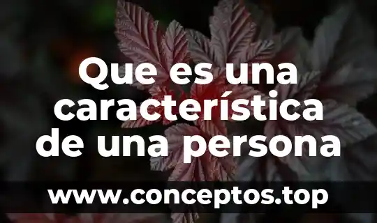 Que es una característica de una persona