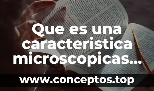 Qué es una prueba de embarazo via orina 3 Que es una caracteristica microscopicas de la orina