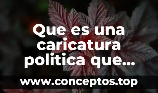Libros donde venga que es una técnica y sus tipos 8 Que es una caricatura politica que expresa donde se encuentra