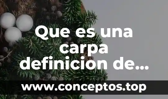 Que es una carpa definicion de teatro