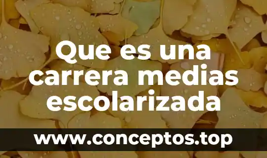 Que es una carrera profesional segun autores 6 Que es una carrera medias escolarizada