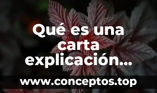 Que es nivel de profundidad en preescolar 7 Qué es una carta explicación para niños de preescolar