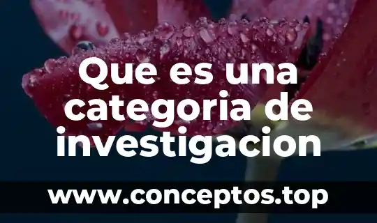 Que es el nivel de investigacion basico 4 Que es una categoria de investigacion