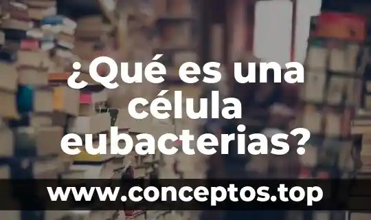 Que es besicula membranosa de celula animal 5 ¿Qué es una célula eubacterias?