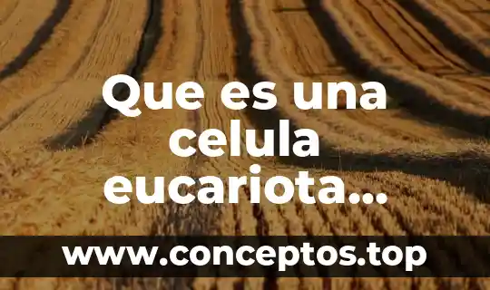 En la célula animal qué es el núcleo 5 Que es una celula eucariota jovenes