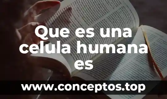 Que es una celula humana es