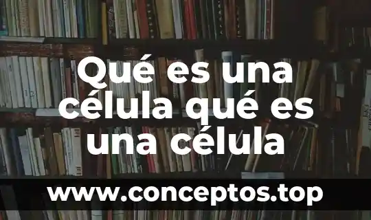 En la célula animal qué es el núcleo 7 Qué es una célula qué es una célula