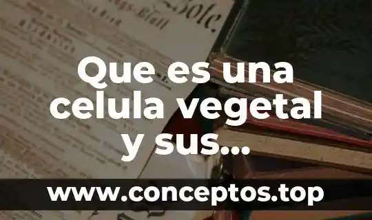 Que es una celula vegetal y sus organelos