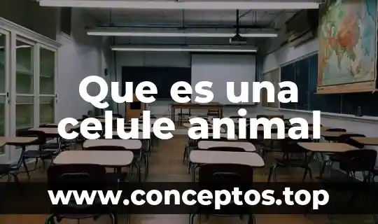 Que es un sivori animal 3 Que es una celule animal