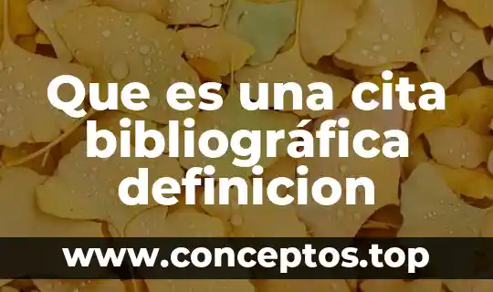Que es una cita bibliográfica definicion
