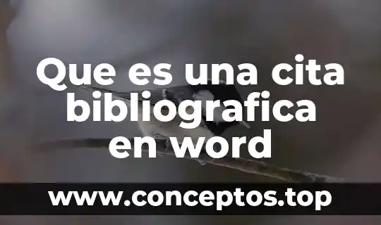Que es una cita bibliografica en word