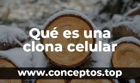 Que es la estatica de un celular 6 Qué es una clona celular