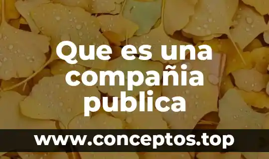 Que es una compañia publica
