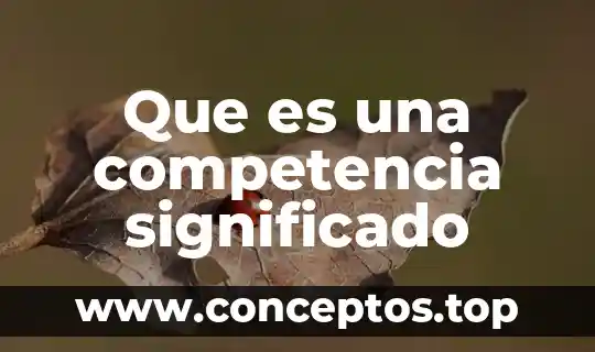 Que es desmesura significado 8 Que es una competencia significado