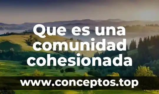 Que es una comunidad cohesionada