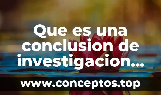 Que es una conclusion de investigacion de mercado