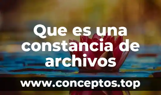 Que es una constancia de archivos
