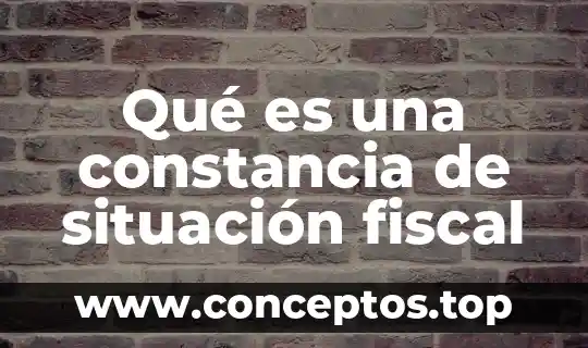 Que es el agua en uma entrevista 4 Qué es una constancia de situación fiscal