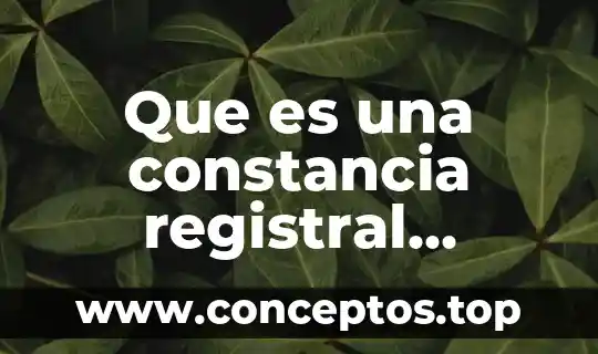 Que es una constancia registral derecho civil