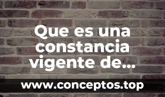 Que es una constancia vigente de derechos