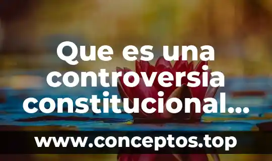 Que es una controversia constitucional en mexico 2019