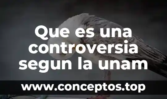 Que es una controversia segun la unam
