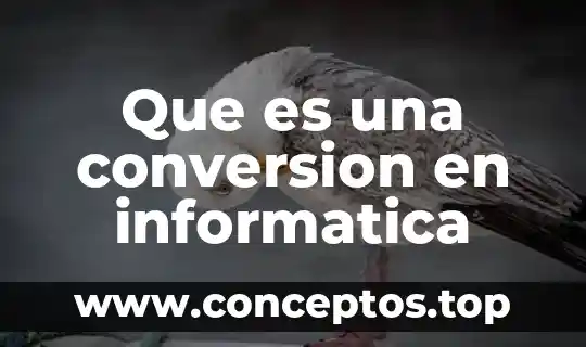 Que es una conversion en informatica