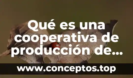 Qué es una cooperativa de producción de bienes y servicios