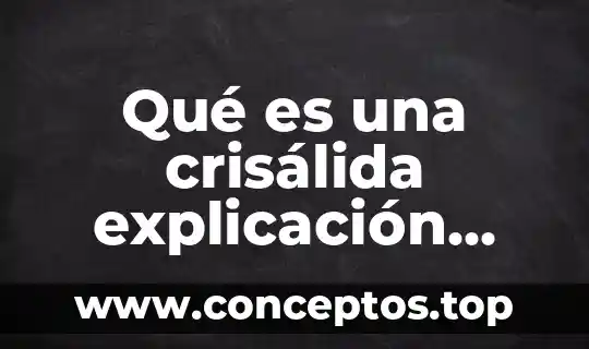 Qué es una crisálida explicación para niños