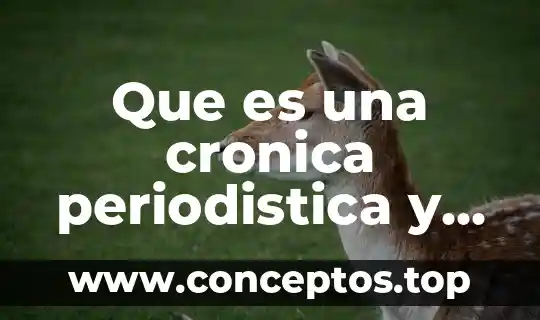 Que es una cronica periodistica y sus partes