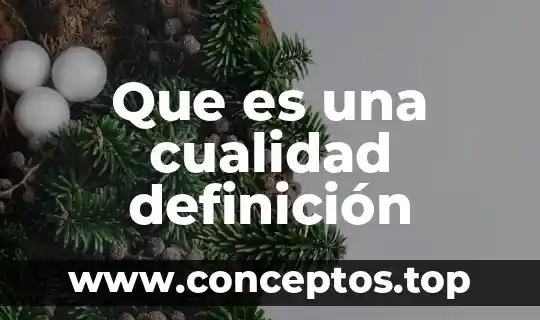 Que es una cualidad definición