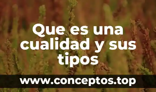 Que es una cualidad y sus tipos