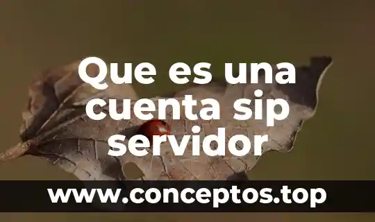 Que es una cuenta sip servidor