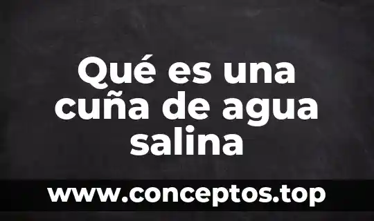 Qué es una cuña de agua salina