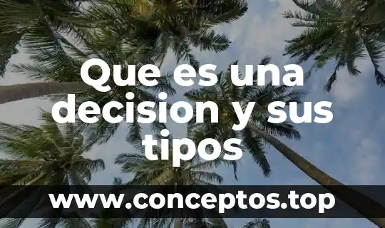 Que es una decision y sus tipos