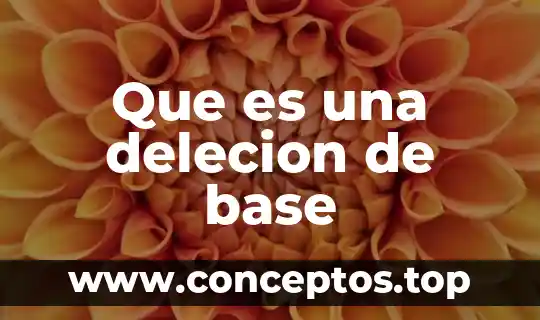 Para que es recomendable la base en color 6 Que es una delecion de base