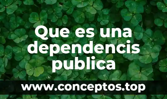 Que es la opinion publica para ti 3 Que es una dependencis publica