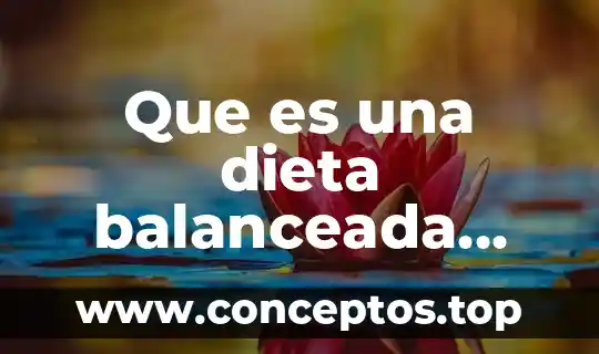 Explicación de que es la filosofía 5 Que es una dieta balanceada explicacion para niños