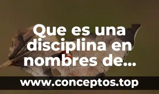 Que es tercera persona 5 Que es una disciplina en nombres de persona