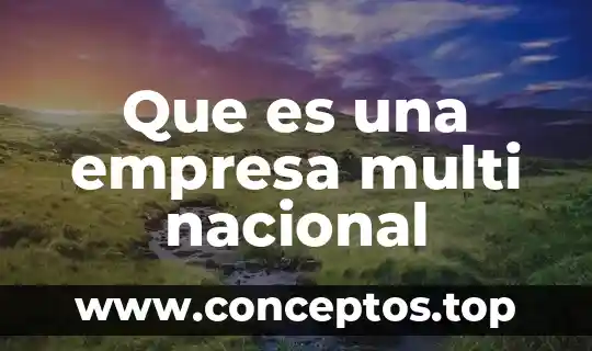 Que es una empresa multi nacional