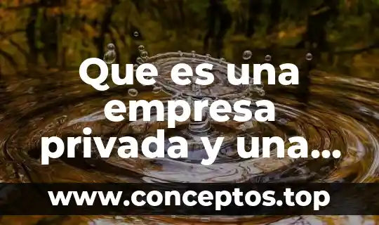 Que es una empresa privada y una publica