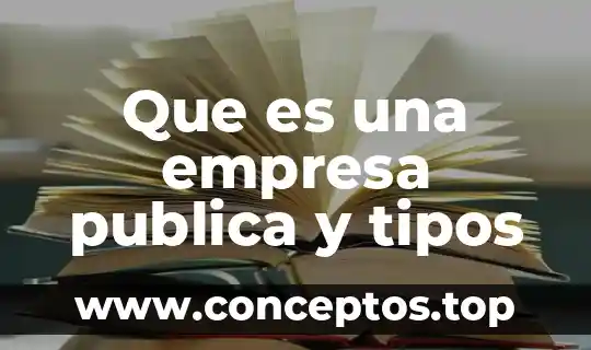 Que es una empresa publica y tipos