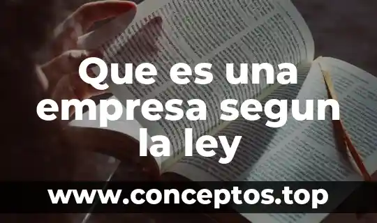 Que es una empresa segun la ley