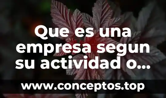 Que es una empresa segun su actividad o giro