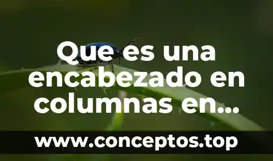 Que es una encabezado en columnas en Excel